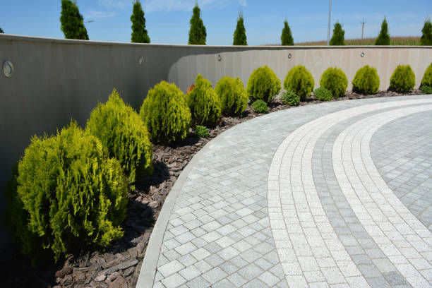 Best Paver Driveway Replacement  in Leonard, TX